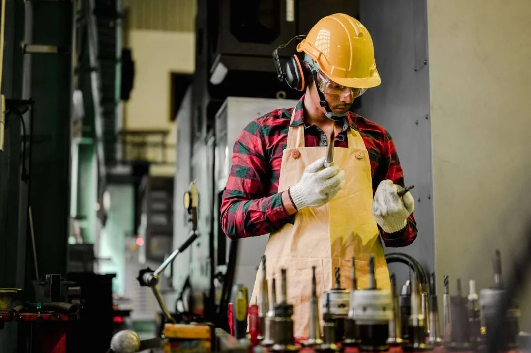 The True Cause of the High Employment Rate of Foreign Workers in Europe in 2026