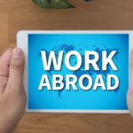 The Complete Manual for Crafting a Job Application That Will Get You a Position Overseas